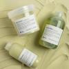 Davines MOMO Moisturizing Shampoo & Conditioner for Dry, Dehydrated Hair, Add Softness & Shine, Detangling Formula(8.45 Fl Oz (Pack of 1))
