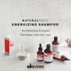 Davines Naturaltech ENERGIZING Shampoo Gentle Cleansing And Protection for Fragile Or Thinning Hair, Revitalize And Energize The Scalp(8.4 Fl Oz (Pack of 1))