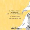 Davines Naturaltech Purifying Shampoo, Clarifying & Anti-Dandruff for Dandruff (Oily or Dry) – With Dandelion Phytoceuticals – Cleanser for Scalp with Dandruff, 8.45 Fl Oz(8.4 Fl Oz (Pack of 1))