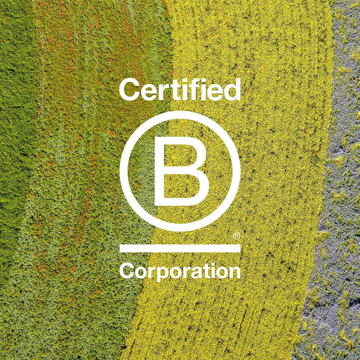 imageDavines LOVE Curl Primer Moisturizing AntiHumidity Heat Protectant Prepping Milk for Wavy and Curly Hair Detangles Hydrates amp Defines Curls for Easy Styling with Almond Extract 507 Fl Oz