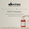 Davines SOLU/Shampoo, Clarifying Cleanser for All Hair Types – Removes Product Build-Up, Residue & Pollutants – Deep Cleaning Formula with Buckwheat Extract Refreshes Scalp & Hair(Original)