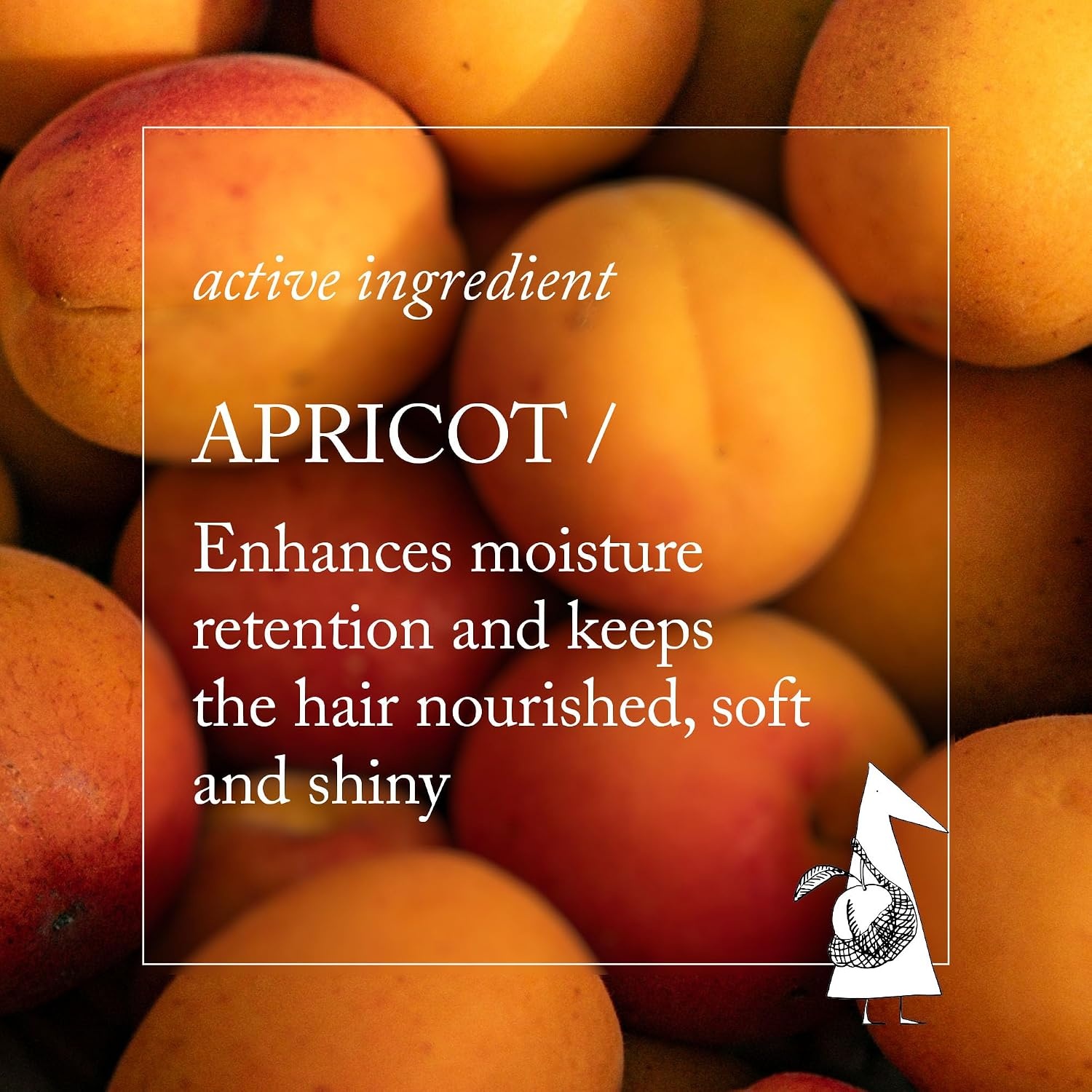 image:imageDavines MOMOShampoo Moisturizing Gel Shampoo for Dry or Dehydrated Hair Deeply Hydrates with Apricots Gentle Cleanser Restores Softness Shine amp MoistureRefill Size